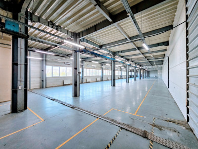 Hala zona Berceni I Depozitare I Productie I 4€+TVA/mp