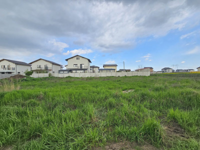 0% Comision | Teren intravilan 500mp Comuna Berceni - Strada Miorita